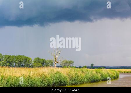 Pluie lourde tempête nuages vent vagues eau Oste rivière Allemagne. Banque D'Images