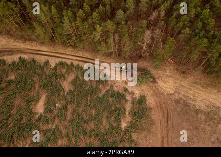 Photographie par drone d'une machine forestière piquant de petits arbres et transportant pendant l'aube de printemps trouble. Banque D'Images