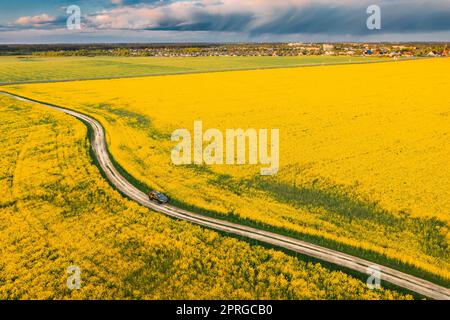 Vue aérienne d'un véhicule utilitaire sport stationné près de Countryside Road dans Spring Field Rural Landscape. Graine de colza en fleurs, graine d'oléagineux dans la prairie de campagne en saison printanière. Fleur de fleurs jaunes de canola Banque D'Images