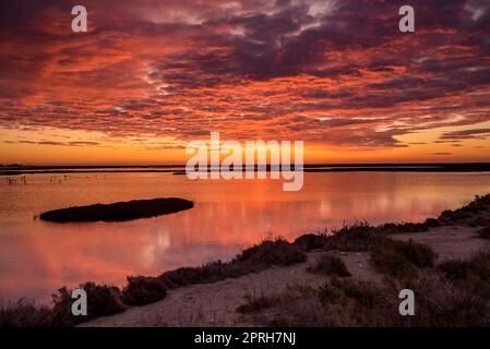 Lever de soleil rouge depuis un point de vue dans les lagons des appartements salins de Sant Antoni et le musée Món Natura Delta dans le delta de l'Ebre, Tarragone Catalogne Espagne Banque D'Images