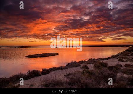 Lever de soleil rouge depuis un point de vue dans les lagons des appartements salins de Sant Antoni et le musée Món Natura Delta dans le delta de l'Ebre, Tarragone Catalogne Espagne Banque D'Images