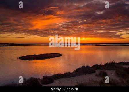 Lever de soleil rouge depuis un point de vue dans les lagons des appartements salins de Sant Antoni et le musée Món Natura Delta dans le delta de l'Ebre, Tarragone Catalogne Espagne Banque D'Images