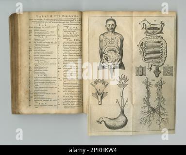 Revue biologique d'hier. Un ancien livre d'anatomie avec ses pages affichées Banque D'Images