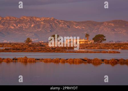 Chaîne de montagnes de Montsià vue de près de l'isthme Barra del Trabucador avec son reflet sur les eaux de la baie d'Alfacs dans le delta de l'Ebre (Espagne) Banque D'Images