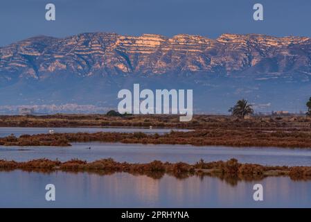 Chaîne de montagnes de Montsià vue de près de l'isthme Barra del Trabucador avec son reflet sur les eaux de la baie d'Alfacs dans le delta de l'Ebre (Espagne) Banque D'Images