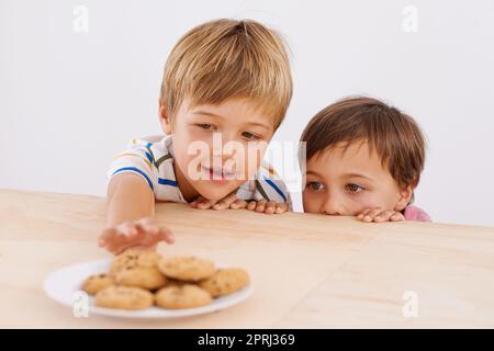 Atteindre le prix. Deux adorables jeunes garçons piquant dans une boîte en carton Banque D'Images