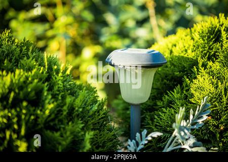 Belle petite lumière solaire de jardin, lanternes en lit de fleur. La conception des jardins. Lampe à énergie solaire. Banque D'Images