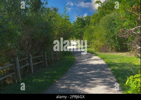 Longue route le long du parc Banque D'Images