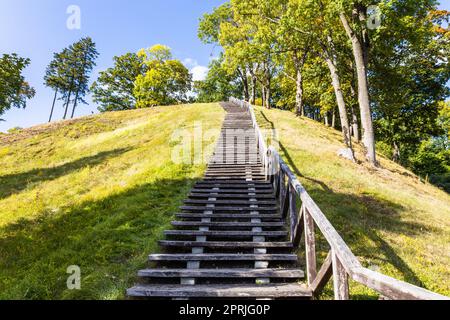 Escaliers en bois montant sur la colline et la forêt. Banque D'Images