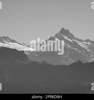 Mont Schreckhorn et Glacier Upper Grindelwald. Banque D'Images