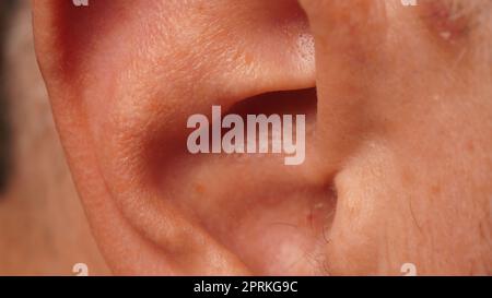 Gros plan d'une photo macro de l'oreille d'un homme Banque D'Images