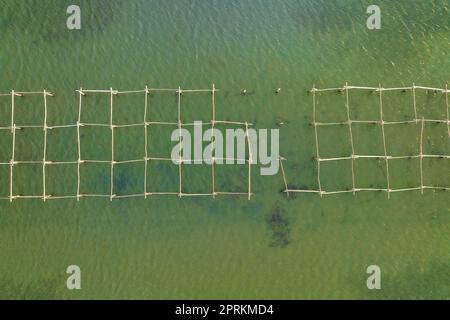 Vue aérienne zenithal des fermes de moules de la baie de Fangar, dans le delta de l'Ebre (Tarragone, Catalogne, Espagne) ESP: Vista aérea cenital de mejilloneras Banque D'Images