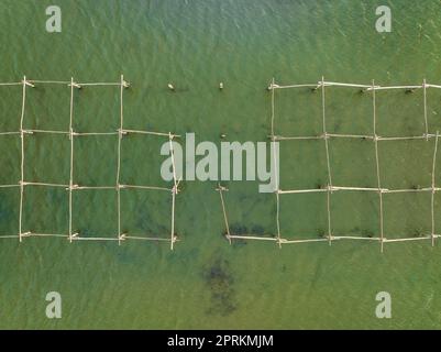 Vue aérienne zenithal des fermes de moules de la baie de Fangar, dans le delta de l'Ebre (Tarragone, Catalogne, Espagne) ESP: Vista aérea cenital de mejilloneras Banque D'Images