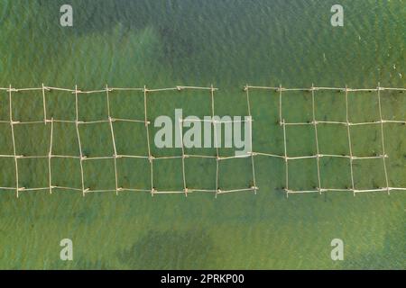 Vue aérienne zenithal des fermes de moules de la baie de Fangar, dans le delta de l'Ebre (Tarragone, Catalogne, Espagne) ESP: Vista aérea cenital de mejilloneras Banque D'Images