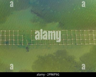 Vue aérienne zenithal des fermes de moules de la baie de Fangar, dans le delta de l'Ebre (Tarragone, Catalogne, Espagne) ESP: Vista aérea cenital de mejilloneras Banque D'Images