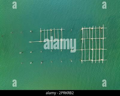 Vue aérienne zenithal des fermes de moules de la baie de Fangar, dans le delta de l'Ebre (Tarragone, Catalogne, Espagne) ESP: Vista aérea cenital de mejilloneras Banque D'Images