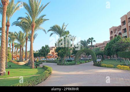 Pelouse à l'ombre des palmiers de resort en Égypte. Hôtel les territoire. Sentier entre l'herbe verte en territoire d'hôtel 5 étoiles. Beau Banque D'Images