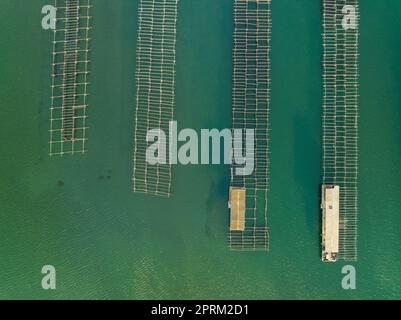 Vue aérienne zenithal des fermes de moules de la baie de Fangar, dans le delta de l'Ebre (Tarragone, Catalogne, Espagne) ESP: Vista aérea cenital de mejilloneras Banque D'Images