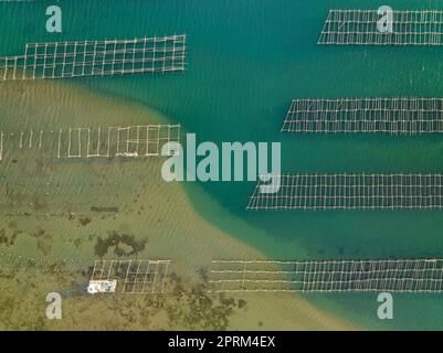 Vue aérienne zenithal des fermes de moules de la baie de Fangar, dans le delta de l'Èbre, partiellement affectées par l'accumulation de sédiments (Tarragona, Espagne) Banque D'Images