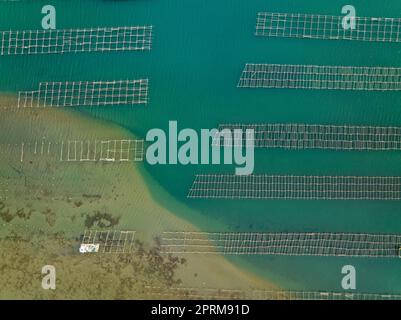 Vue aérienne zenithal des fermes de moules de la baie de Fangar, dans le delta de l'Èbre, partiellement affectées par l'accumulation de sédiments (Tarragona, Espagne) Banque D'Images