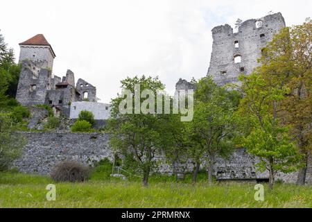 Ruines du château Kamen, Radovljica, Slovénie Banque D'Images