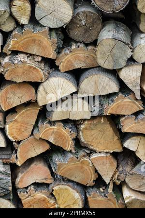 Pile de bois de chauffage prêt pour l'hiver Banque D'Images