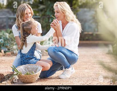 La mère, l'enfant et la plante de jardin se sentent avec la grand-mère dans un beau paysage vert. La maternité, le bonheur et le collage dans une nature étonnante avec un jeune enfant tenant la cueillette fraîche. Banque D'Images