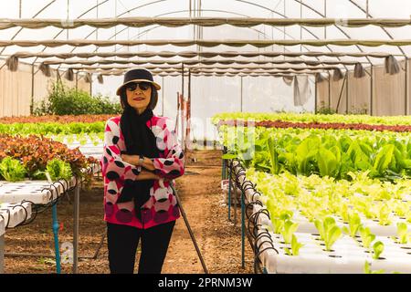 Portrait asiatique femme âgée debout dans une ferme de légumes hydroponique. Banque D'Images