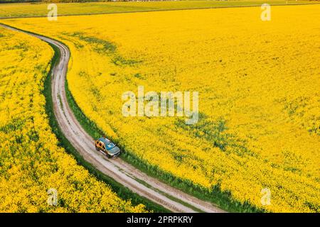 Vue aérienne d'un véhicule utilitaire sport stationné près de Countryside Road dans Spring Field Rural Landscape. Graine de colza en fleurs, graine d'oléagineux dans la prairie de campagne en saison printanière. Fleur de fleurs jaunes de canola Banque D'Images