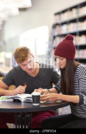 Préparation aux examens à venir. Deux étudiants du collège étudient ensemble à la bibliothèque. Banque D'Images