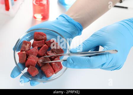 Scientifique prenant de la viande de culture crue hors de la boîte de Pétri avec des pinces, vue de dessus Banque D'Images