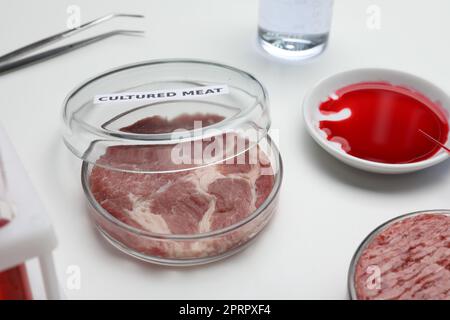 Échantillon de viande de culture sur table de laboratoire blanche Banque D'Images