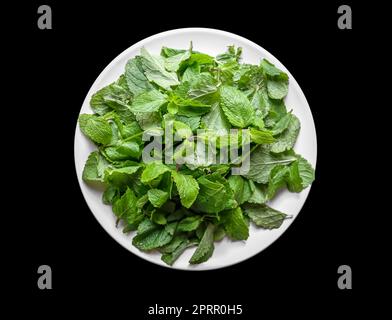 Feuilles de menthe fraîche sur une assiette Banque D'Images
