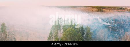 Vue aérienne. L'herbe sèche du printemps brûle pendant la sécheresse temps chaud. Feu et fumée de Bush dans la zone de déforestation. Le feu sauvage détruit l'herbe. Nature en danger. Problème écologique pollution atmosphérique Banque D'Images