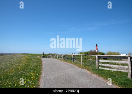 Image panoramique du paysage le long des digues de Pellworm, Frise du Nord, Allemagne Banque D'Images