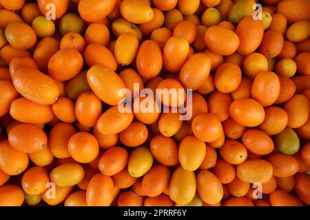 Groupe de kumquats - le fruit comestible ressemble étroitement à l'orange en couleur et en forme, mais est beaucoup plus petit, étant approximativement la taille d'une grande olive Banque D'Images