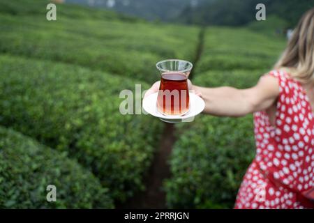 Femme en robe rouge offrant un verre traditionnel de thé noir turc avec des rangées de plantations de thé sur des collines en terrasse en arrière-plan Banque D'Images