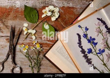 Vieux ciseaux avec de belles fleurs séchées et des livres sur table en bois, plat Banque D'Images