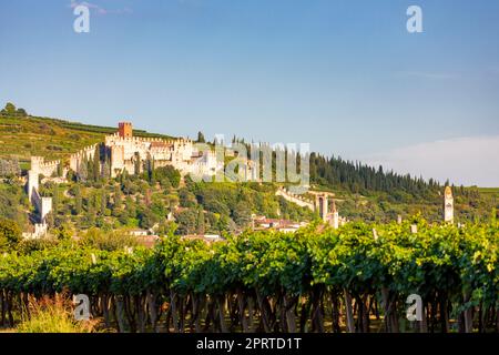 Château de Soave en Vénétie, Italie Banque D'Images