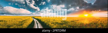 Vue en hauteur du soleil au coucher du soleil au-dessus du paysage rural avec fleurs de Canola Colza en fleurs. Soleil Shining dans un ciel spectaculaire à Sunrise au-dessus du champ de colza agricole de printemps et de la route de campagne. Panorama Banque D'Images