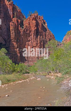 La Virgin River se dirige vers un canyon escarpé Banque D'Images