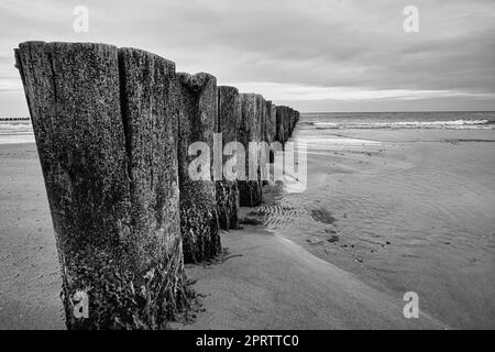 Groynes sur la mer Baltique en noir et blanc avec beaucoup de structure protubérant dans la mer. Banque D'Images