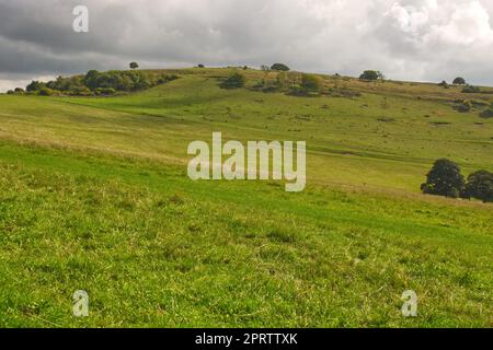 Campagne à Cissbury Ring, fort de la colline antique sur les South Downs près de Worthing dans West Sussex, Angleterre Banque D'Images