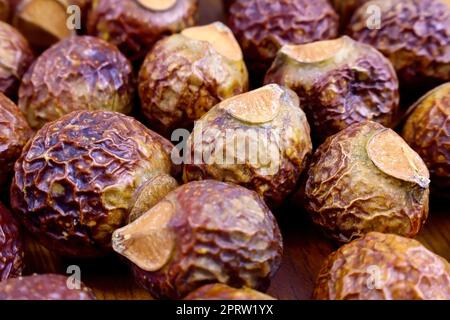 Noisettes de savon sec brun (Soapberries, Sapindus Mukorossi, Reetha) pour le linge biologique et doux soin naturel de la peau gros plan. Banque D'Images