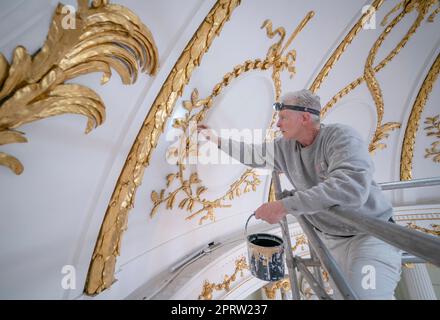 Andrew Brown apporte la touche finale à la restauration du plafond bombé de la chapelle du Bar Couvent Living Heritage Centre de York, tandis que le plus ancien couvent vivant du Royaume-Uni dévoile la restauration de sa chapelle illégale datant de 18th ans. Date de la photo: Jeudi 27 avril 2023. Banque D'Images