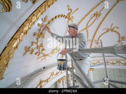 Andrew Brown apporte la touche finale à la restauration du plafond bombé de la chapelle du Bar Couvent Living Heritage Centre de York, tandis que le plus ancien couvent vivant du Royaume-Uni dévoile la restauration de sa chapelle illégale datant de 18th ans. Date de la photo: Jeudi 27 avril 2023. Banque D'Images