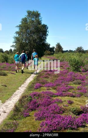 Famille à la campagne, Suffolk Banque D'Images