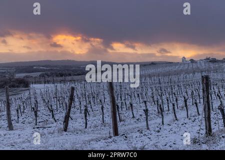 Calvaire près de Hnanice, région de Znojmo, Moravie du Sud, République tchèque Banque D'Images