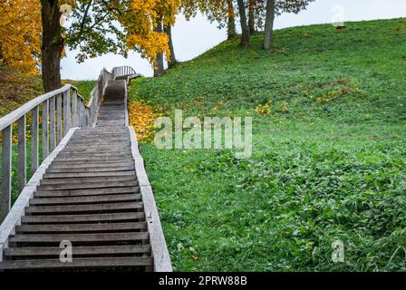 Marches d'un escalier en bois haut menant à la colline de Dubingiai, Lituanie. Banque D'Images