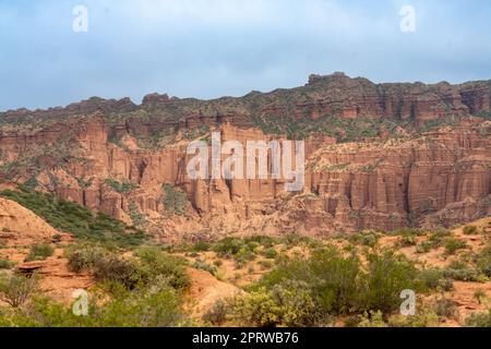 Formations érodées et végétation désertique dans le parc national de la Sierra de las Quijadas, en Argentine. Banque D'Images